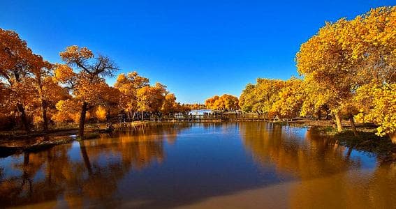 tarim-river.jpg tarim-river.jpg