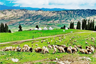 13-days-north-xinjiang-tour-kanas-sayram-lake-naraty 13-days-north-xinjiang-tour-kanas-sayram-lake-naraty