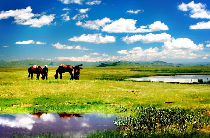13-days-xinjiang-tour-to-ili-pastureland 13-days-xinjiang-tour-to-ili-pastureland