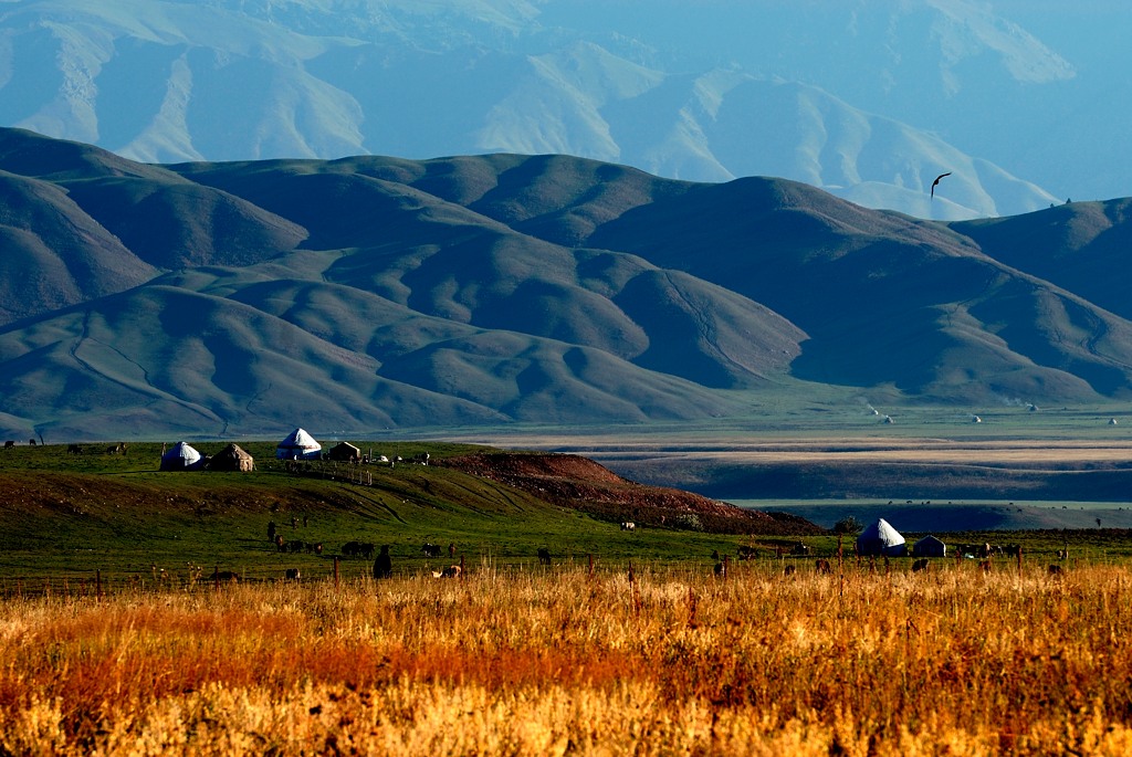Scenery of the Narat Prairie in Xinyuan County