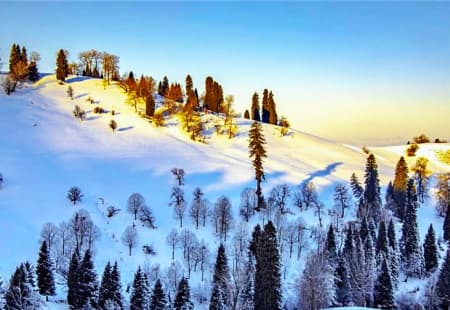 Nalati Winter.jpg Nalati Winter.jpg