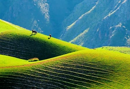 Sky Grassland.jpg Sky Grassland.jpg