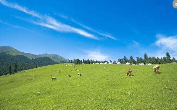 Shuixigou-County Shuixigou-County