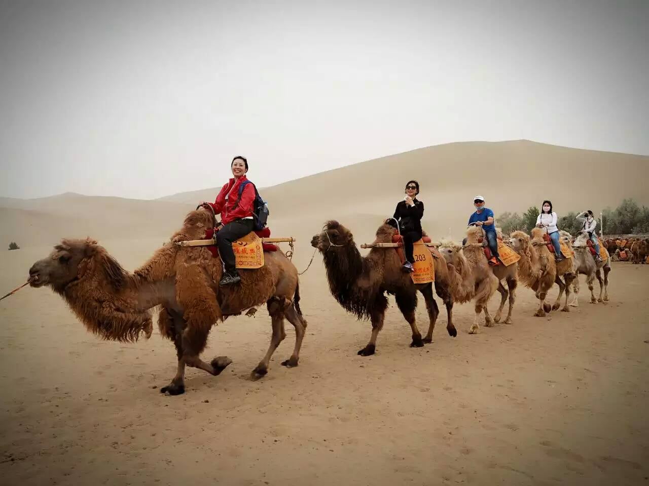 11-days-west-china-adventure-to-taklamakan-desert 11-days-west-china-adventure-to-taklamakan-desert