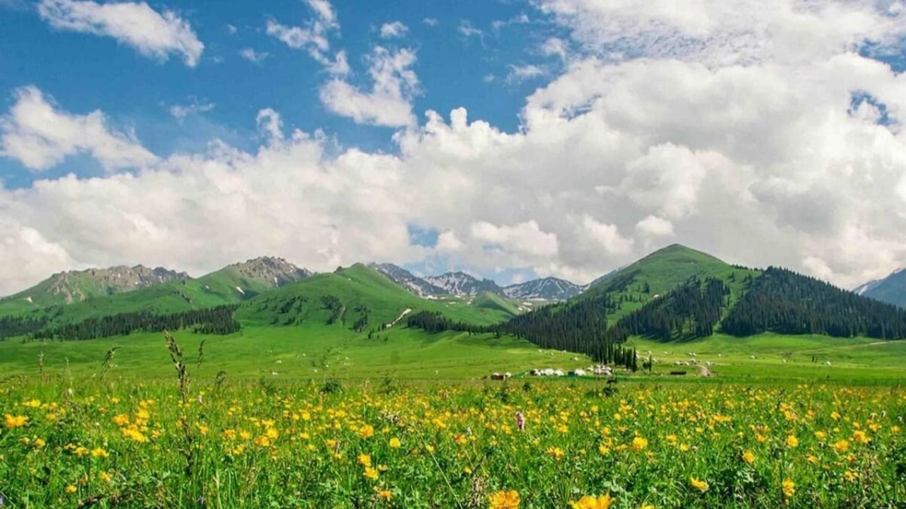 ultimate-xinjiang-grassland-escape-your-coolest-summer-getaway ultimate-xinjiang-grassland-escape-your-coolest-summer-getaway