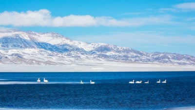 9-days-bayinbuluk-grassland-sayram-lake-apricot-blossom-adventure 9-days-bayinbuluk-grassland-sayram-lake-apricot-blossom-adventure