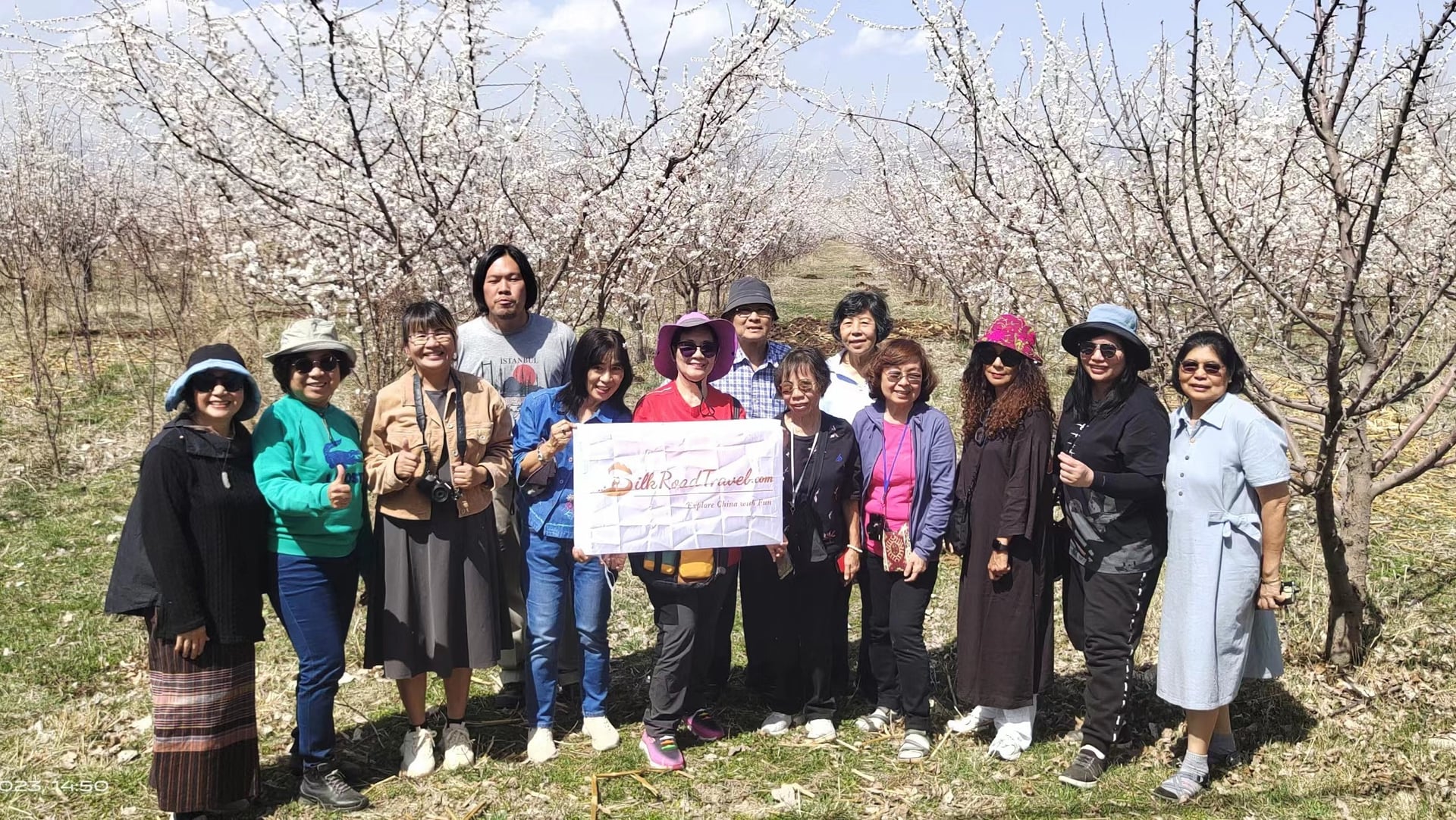 9-day-xinjiang-spring-tour-apricot-blossom-in-yili-grasslands 9-day-xinjiang-spring-tour-apricot-blossom-in-yili-grasslands