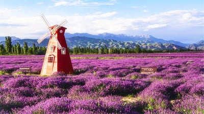 11-days-yili-indepth-adventure-hiking 11-days-yili-indepth-adventure-hiking