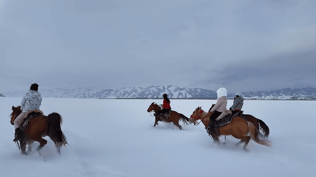 Horseback Riding1 Horseback Riding1