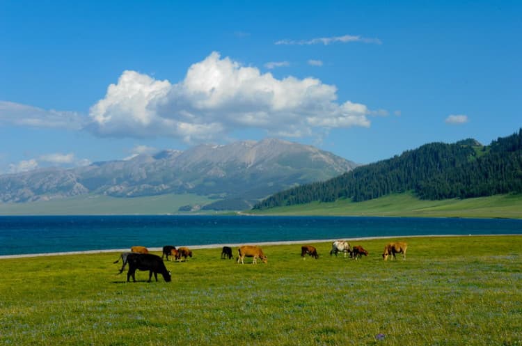 Sayram Lake in Xinjiang Sayram Lake in Xinjiang
