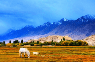 9-days-south-xinjiang-tour-kashgar-yarkand-pamir 9-days-south-xinjiang-tour-kashgar-yarkand-pamir