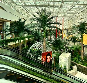 MM3 in Urumqi.jpg