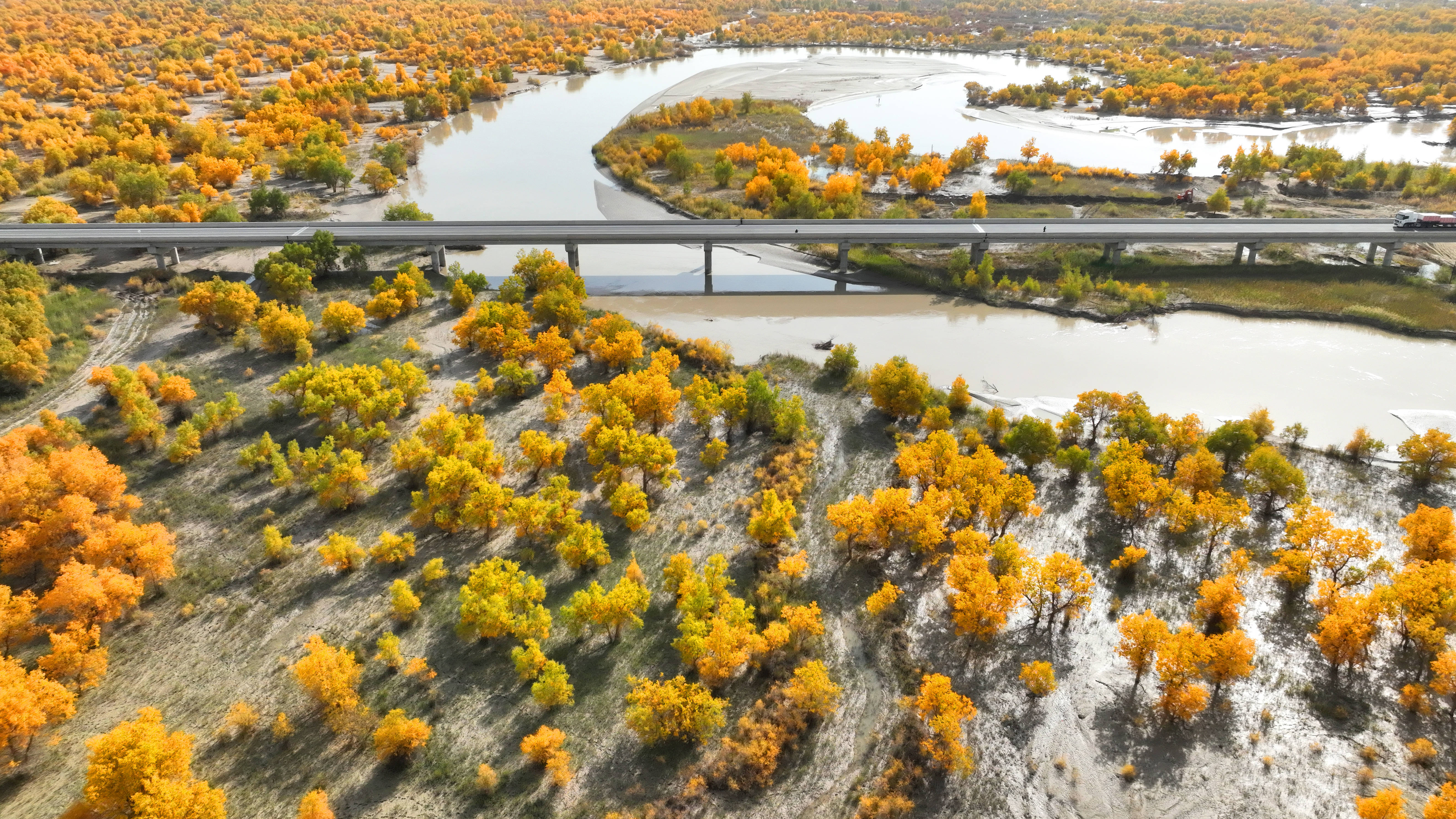 Tarim River