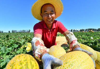 Xinjiang is A Place with Only Two Seasons