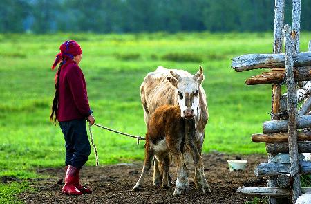 Tuva People In Xinjiang