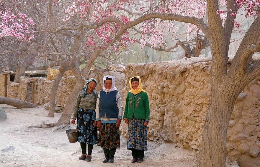 Essence of Spring-Apricot Blossom Festival Tour