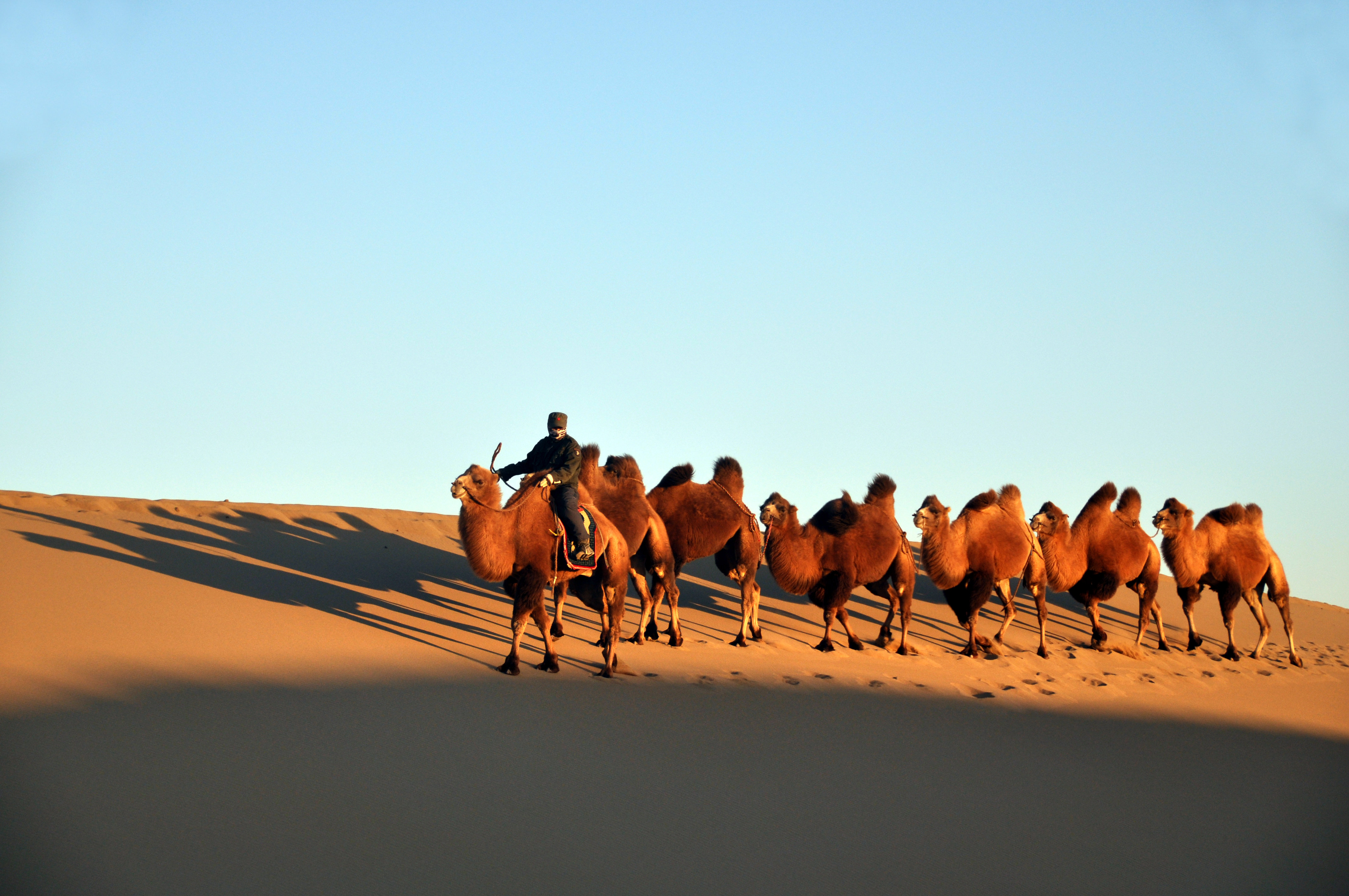 A glimpse of Xinjiang Culture and Natural Landscape