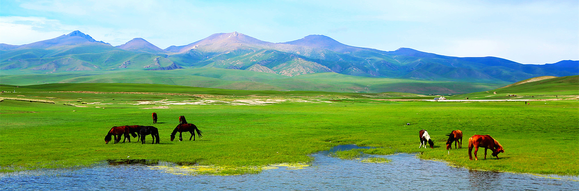 North Xinjiang Tours