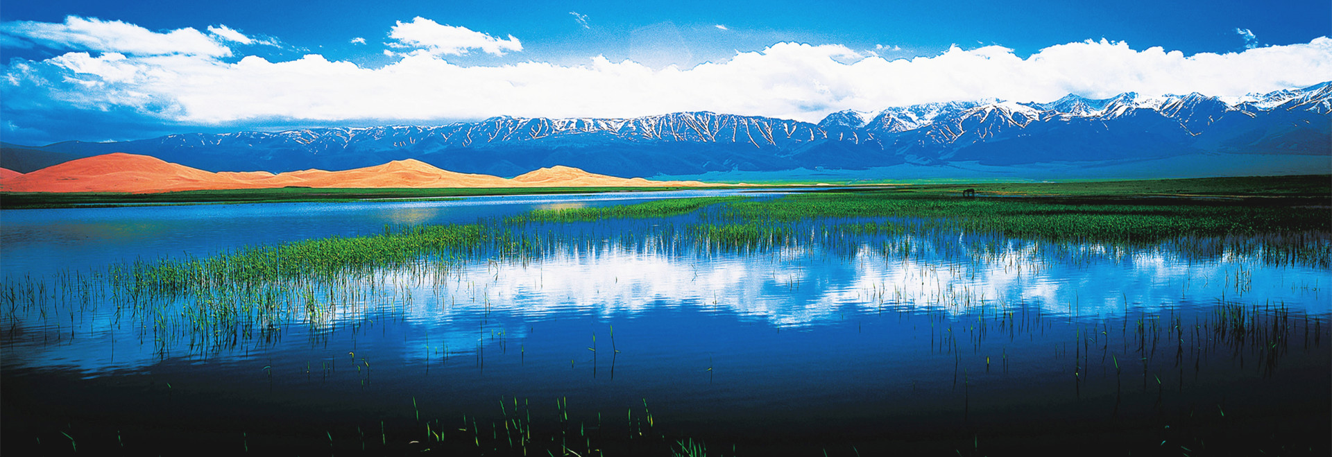 North Xinjiang Tours