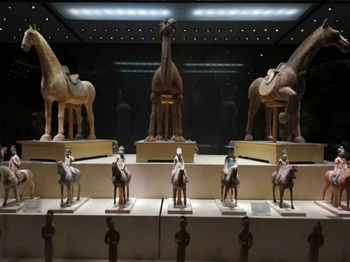 Xingjiang Museum.jpg.jpg.jpg.jpg