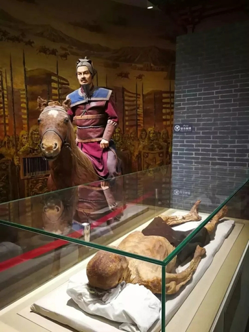 Xingjiang Museum.jpg.jpg.jpg.jpg.jpg.jpg.jpg