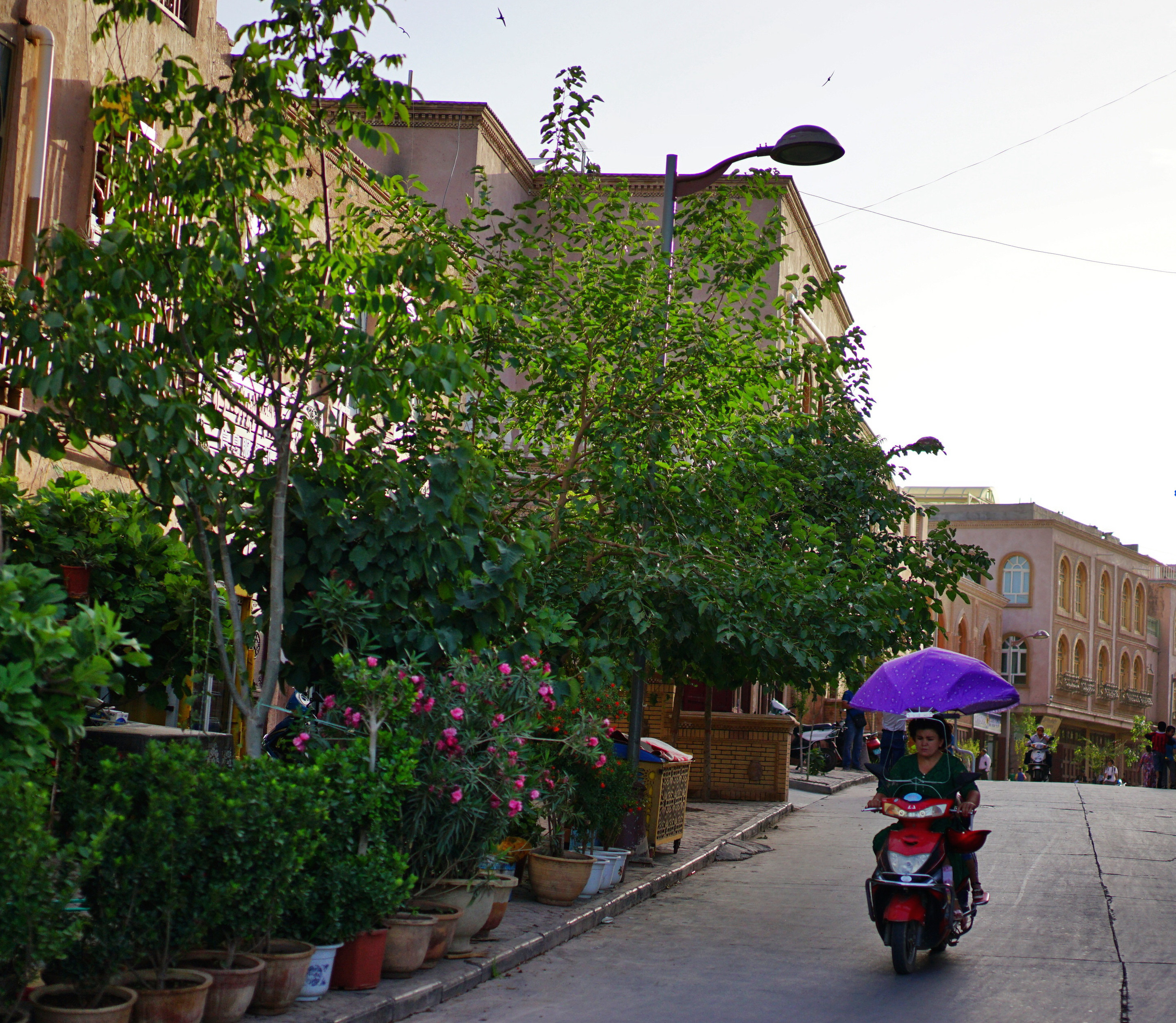 road-in-kashgar.jpg