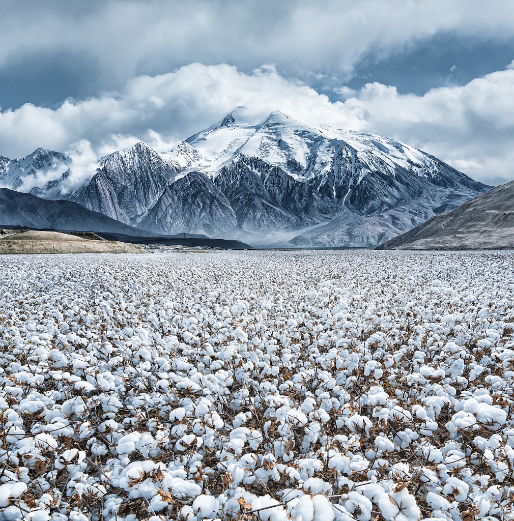 xinjiang-cotton-1.jpg