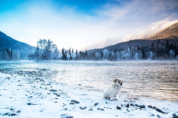 Kanas-Nature-Reserve.jpg