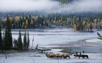 Kanas Lake Burqin.jpg